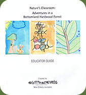 Studio in the Woods classroom guide cover